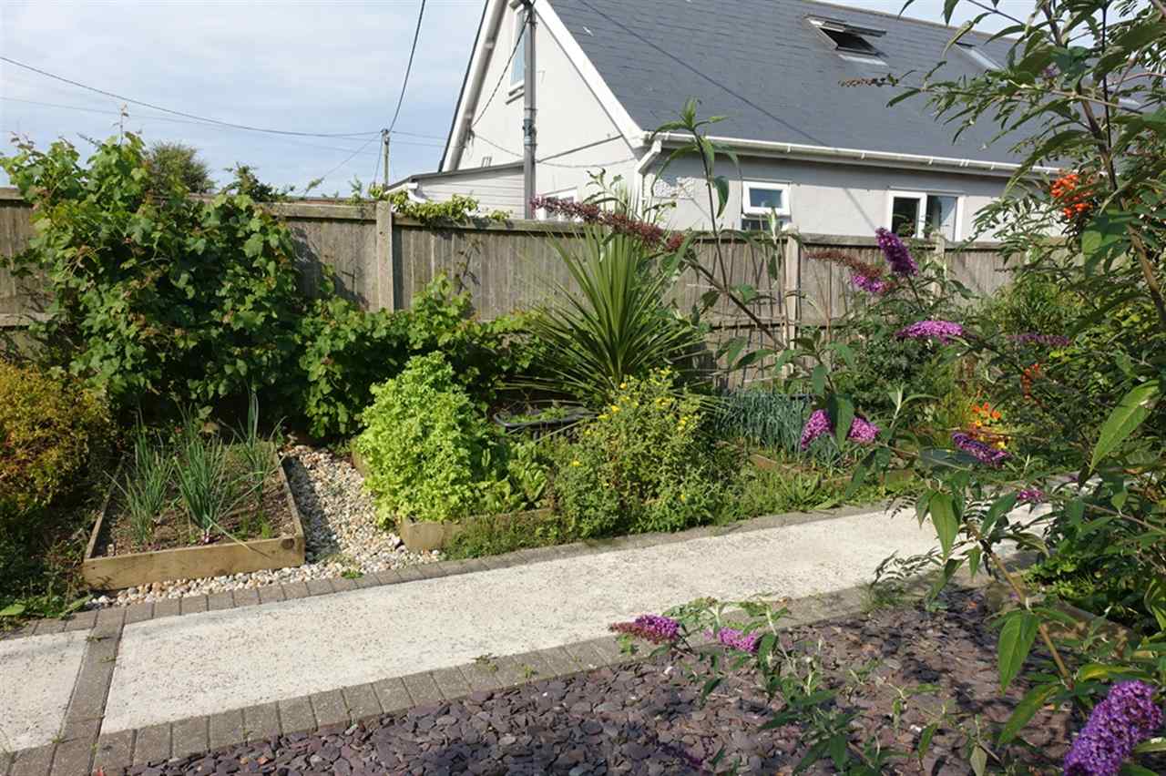 resized-2349823-Vegetable Garden (2).JPG